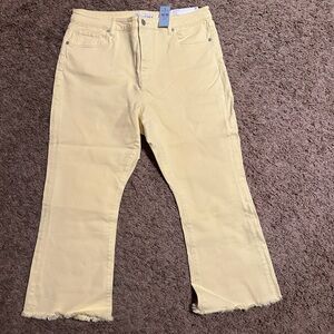 Loft Size 31 Petite NWT Kick Crop Light Yellow Frayed Hem Jeans High Rise
